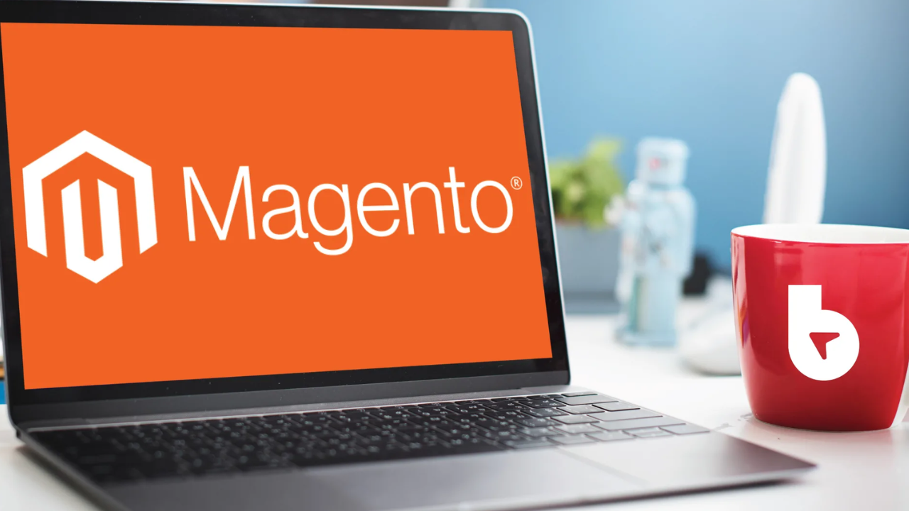 magento ecommerce